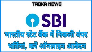 sbi recruitment 2022 apply online। भारतीय स्टेट बैंक में निकली बम्पर भर्ती, 1256 पदों के लिए जल्दी करे आवेदन